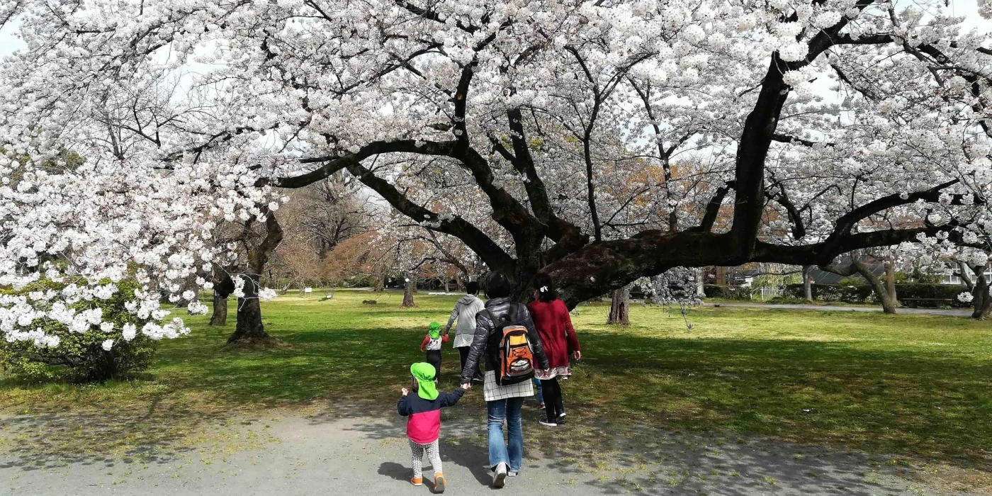 花見をする保育士と子供たち