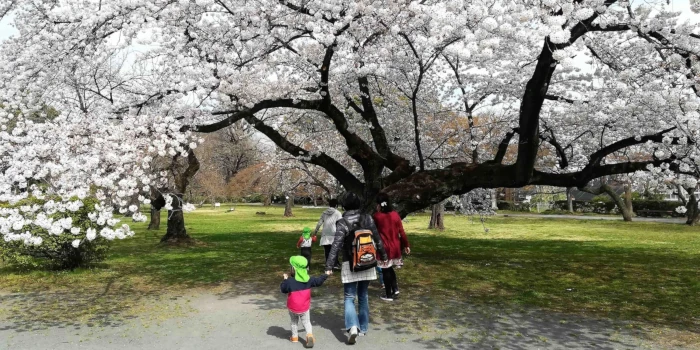 花見をする保育士と子供たち