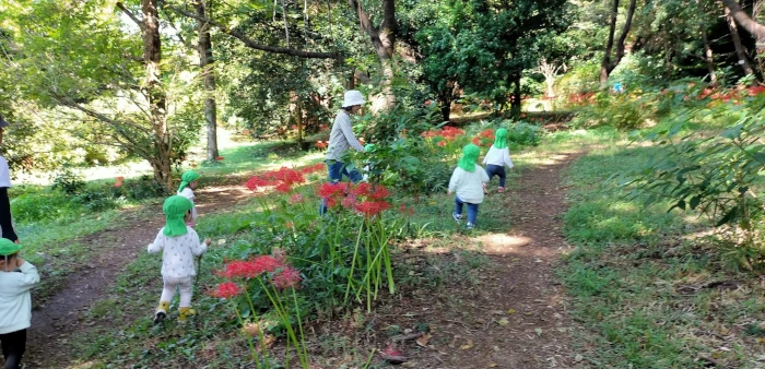 花咲く公園の道を散歩する子供たち