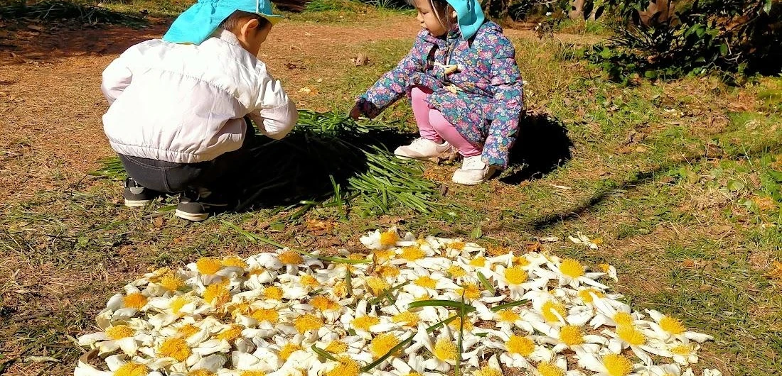 お花やはっぱを集めて遊ぶ子供たち