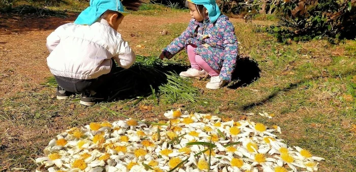お花やはっぱを集めて遊ぶ子供たち
