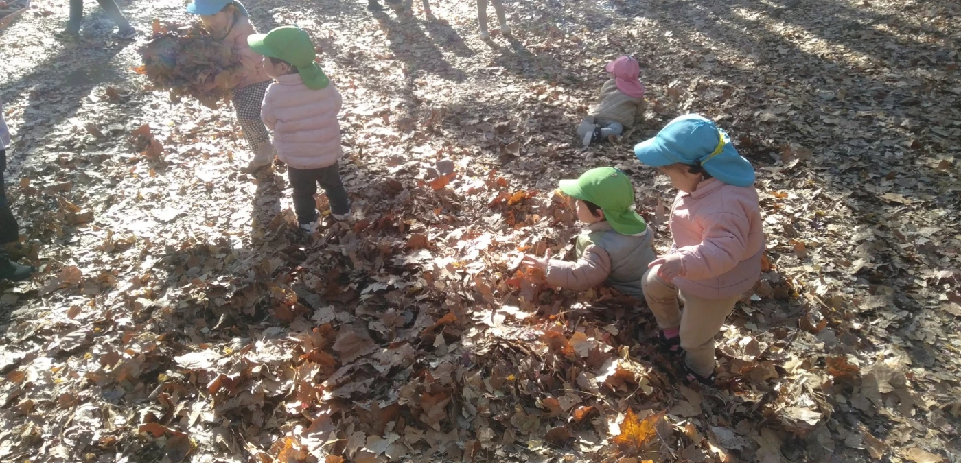 公園で落ち葉遊びをする子供たち